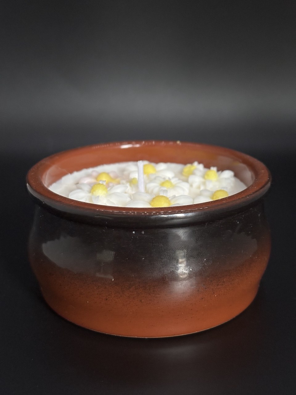 Mini Daisy Clay Wax Candle