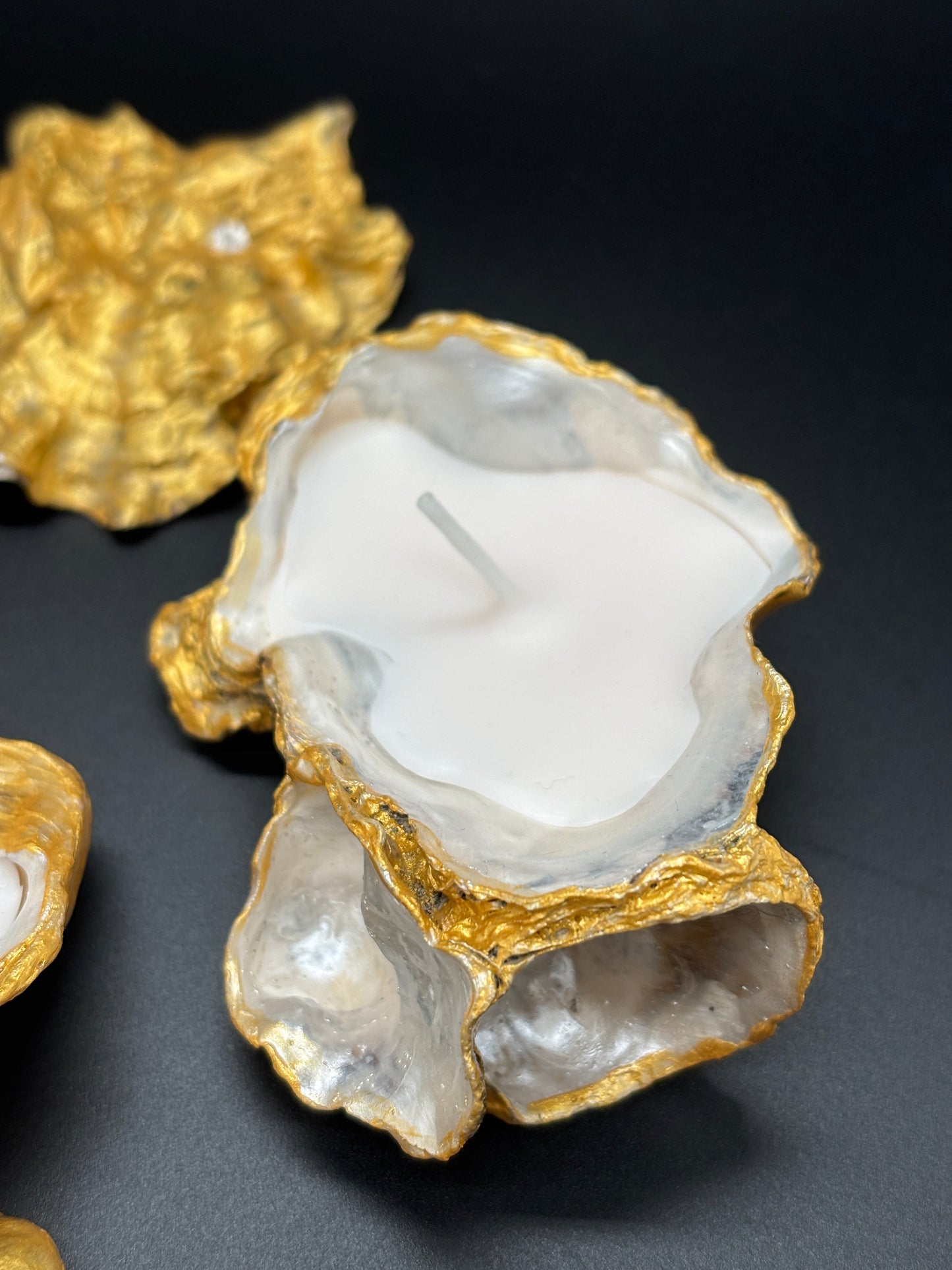 Oyster  Light candle