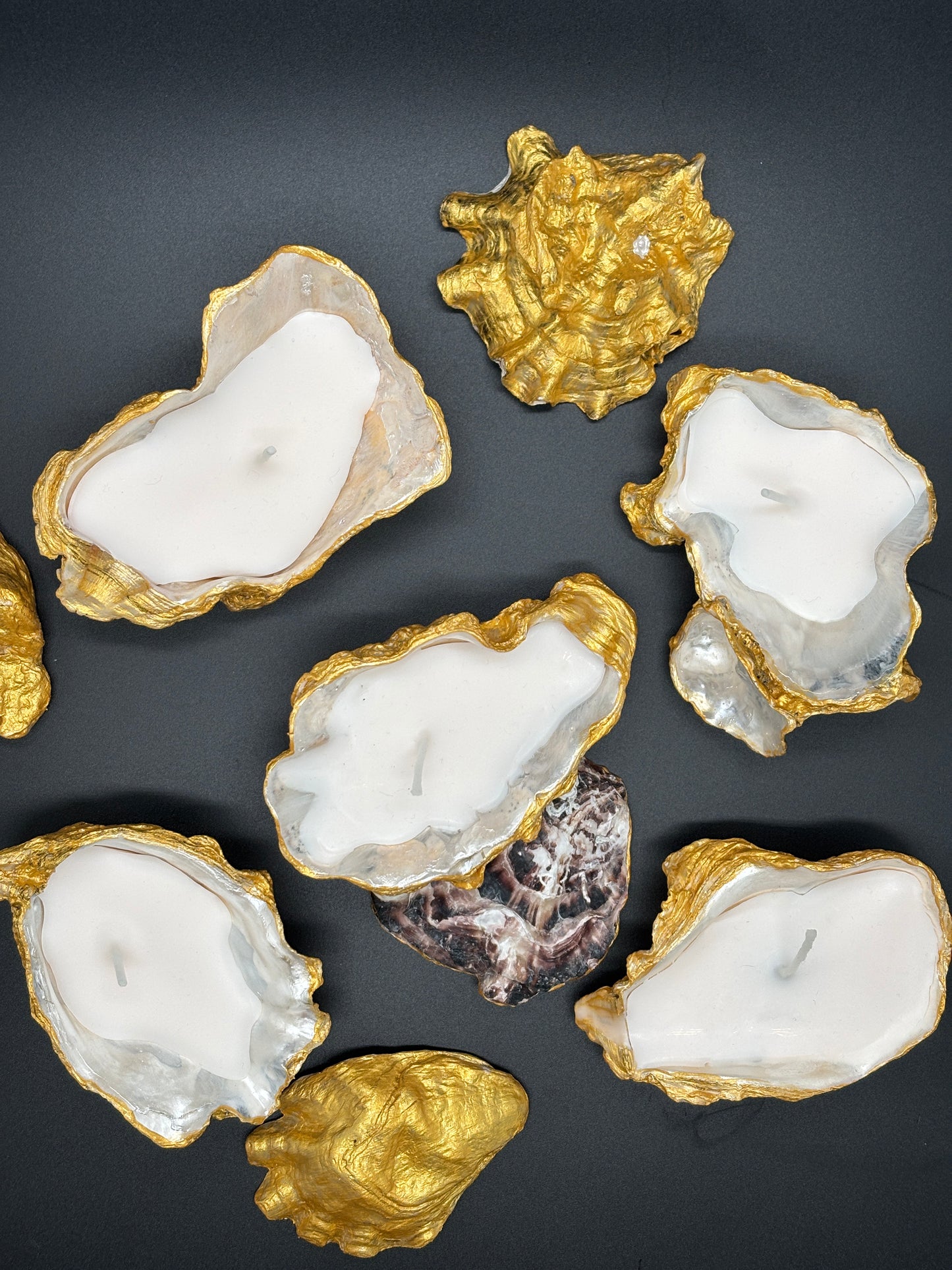 Oyster  Light candle