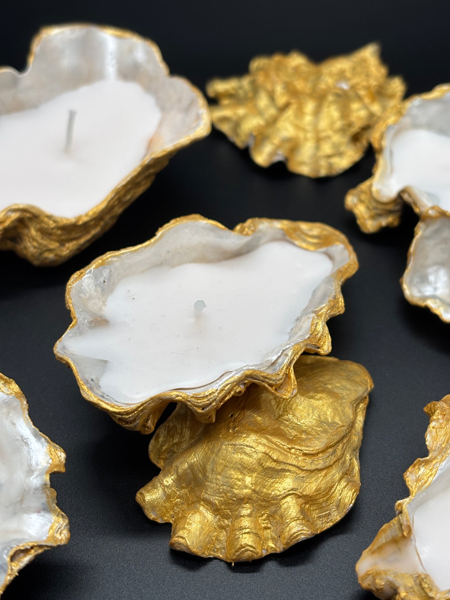 Oyster  Light candle